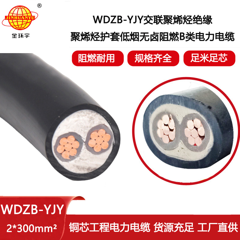 金環宇電線電纜 深圳低煙無鹵阻燃電纜WDZB-YJY 2X300  yjv電纜