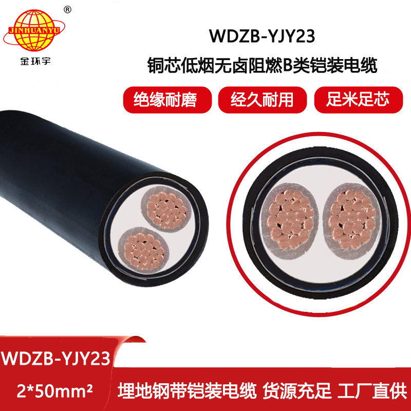 金環宇電線電纜 阻燃b類鎧裝電纜WDZB-YJY23-2X50平方 低煙無鹵電力電纜